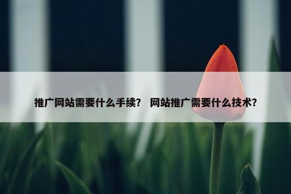 推广网站需要什么手续？ 网站推广需要什么技术？