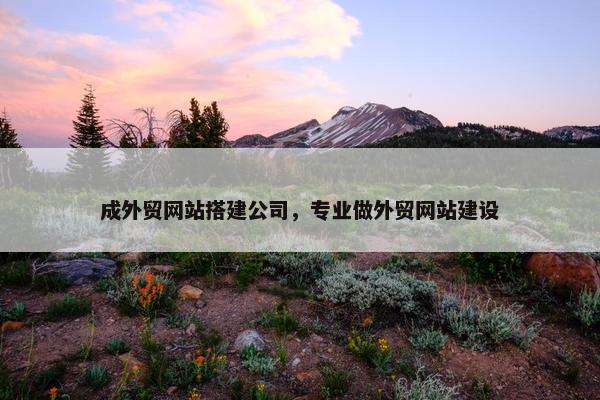 成外贸网站搭建公司，专业做外贸网站建设