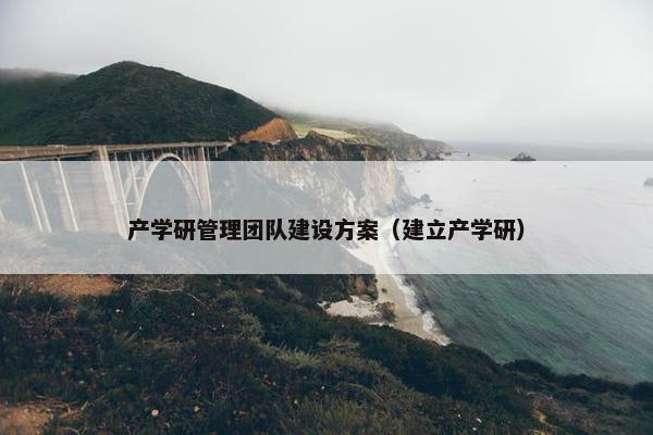 产学研管理团队建设方案（建立产学研）