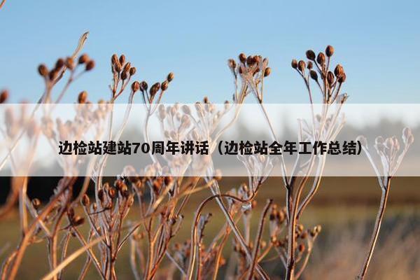 边检站建站70周年讲话（边检站全年工作总结）