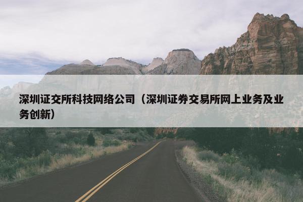 深圳证交所科技网络公司（深圳证券交易所网上业务及业务创新）