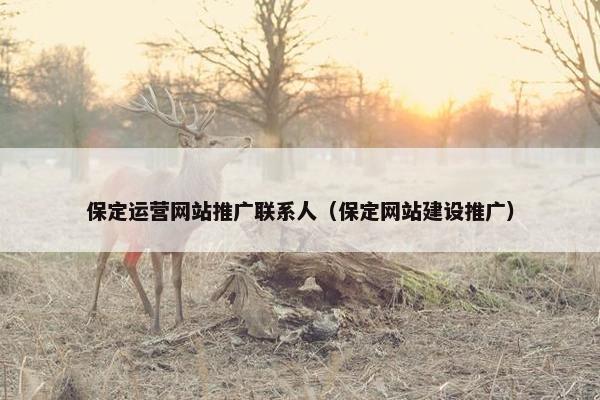 保定运营网站推广联系人（保定网站建设推广）