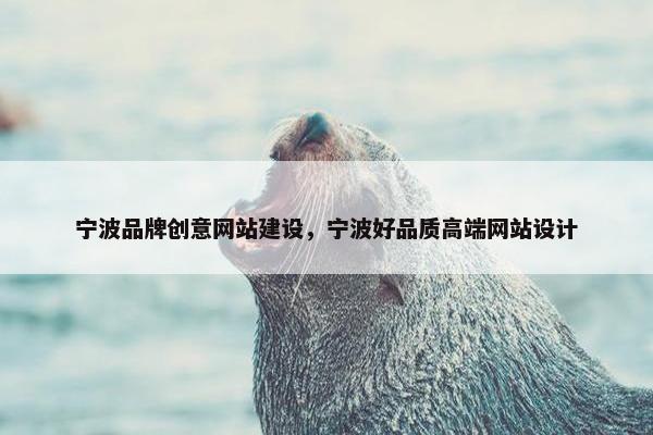 宁波品牌创意网站建设，宁波好品质高端网站设计