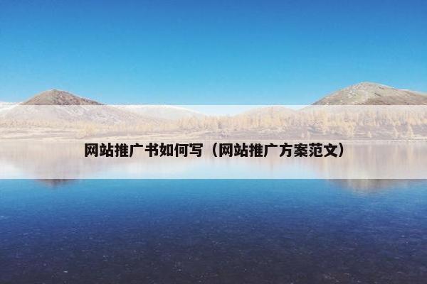 网站推广书如何写（网站推广方案范文）