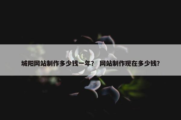 城阳网站制作多少钱一年？ 网站制作现在多少钱？