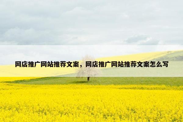 网店推广网站推荐文案，网店推广网站推荐文案怎么写