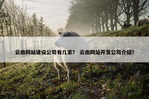 云南网站建设公司有几家？ 云南网站开发公司介绍？