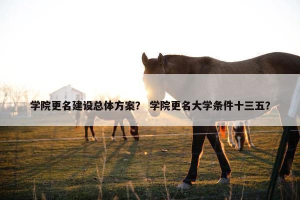 学院更名建设总体方案? 学院更名大学条件十三五? 学院更名建设总体方案? 学院更名大学条件十三五?
