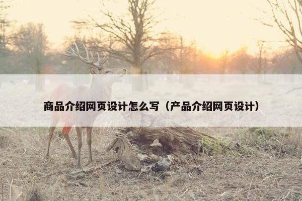 商品介绍网页设计怎么写（产品介绍网页设计）