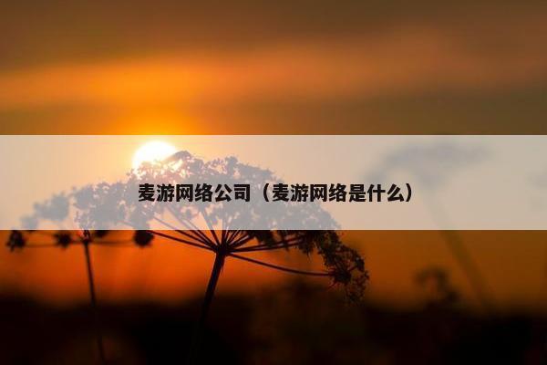 麦游网络公司（麦游网络是什么）