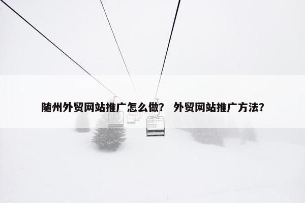 随州外贸网站推广怎么做？ 外贸网站推广方法？