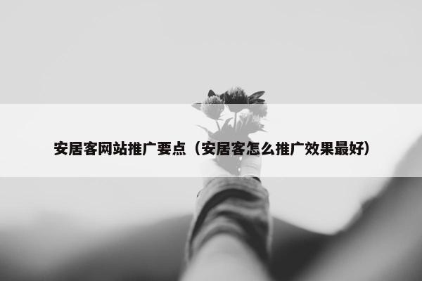 安居客网站推广要点（安居客怎么推广效果最好）
