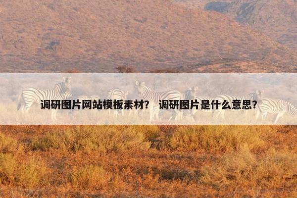 调研图片网站模板素材？ 调研图片是什么意思？