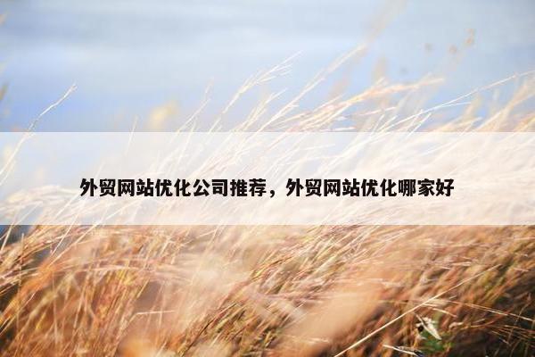 外贸网站优化公司推荐，外贸网站优化哪家好