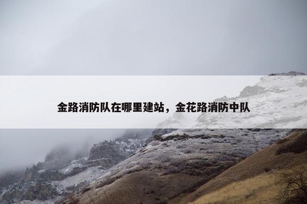 金路消防队在哪里建站，金花路消防中队