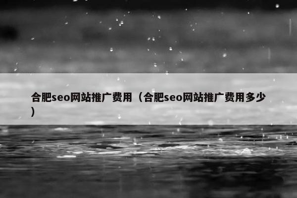 合肥seo网站推广费用（合肥seo网站推广费用多少）