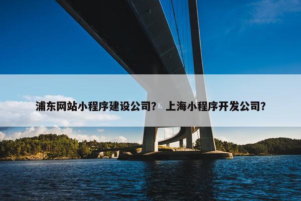 浦东网站小程序建设公司？ 上海小程序开发公司？