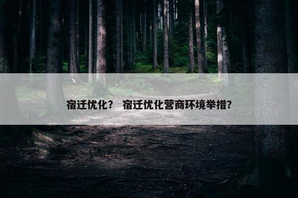 宿迁优化? 宿迁优化营商环境举措? 宿迁优化? 宿迁优化营商环境举措?