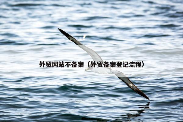外贸网站不备案（外贸备案登记流程）