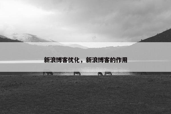 新浪博客优化，新浪博客的作用