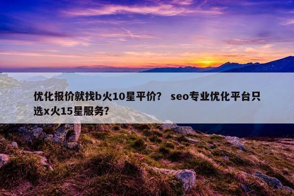 优化报价就找b火10星平价？ seo专业优化平台只选x火15星服务？