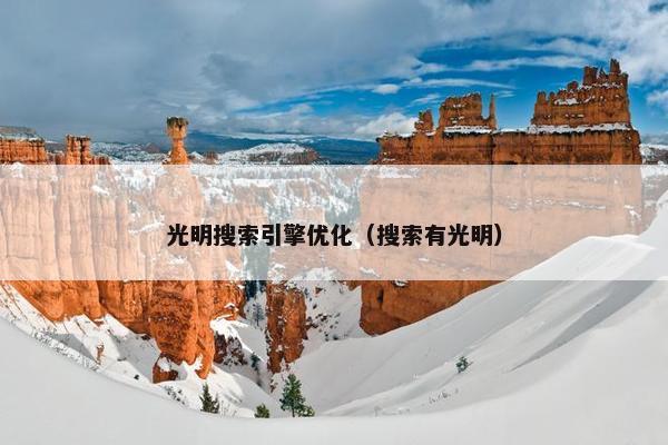 光明搜索引擎优化（搜索有光明）