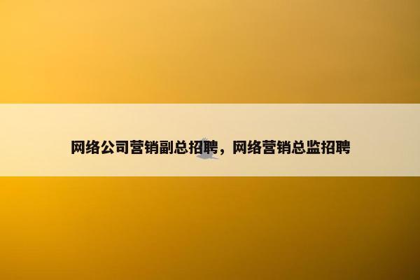 网络公司营销副总招聘，网络营销总监招聘