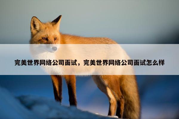完美世界网络公司面试，完美世界网络公司面试怎么样