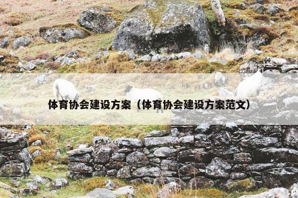体育协会建设方案（体育协会建设方案范文）