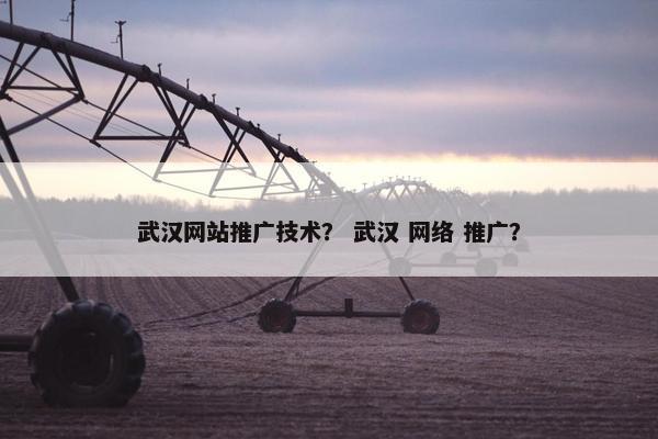 武汉网站推广技术？ 武汉 网络 推广？