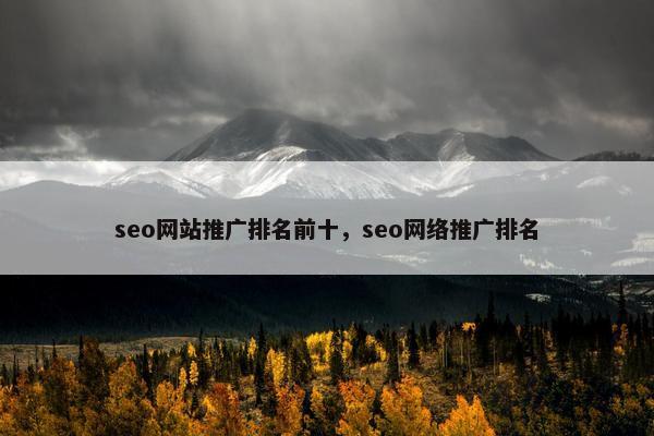 seo网站推广排名前十，seo网络推广排名