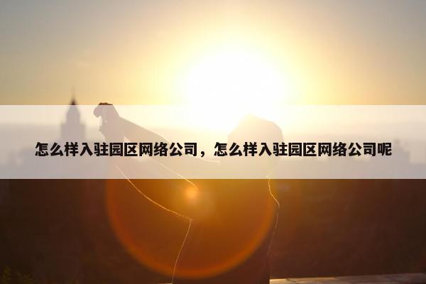 怎么样入驻园区网络公司，怎么样入驻园区网络公司呢