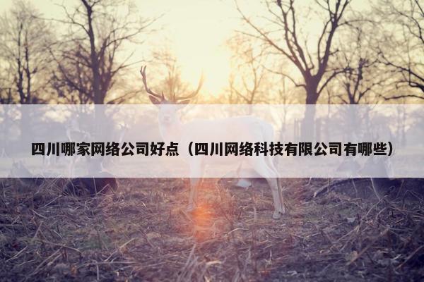 四川哪家网络公司好点（四川网络科技有限公司有哪些）
