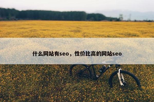 什么网站有seo，性价比高的网站seo