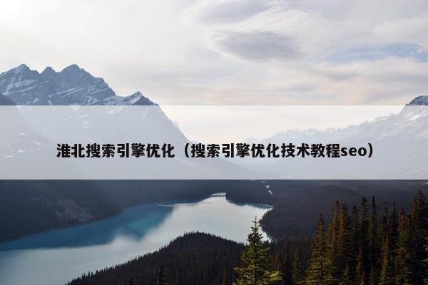 淮北搜索引擎优化（搜索引擎优化技术教程seo）