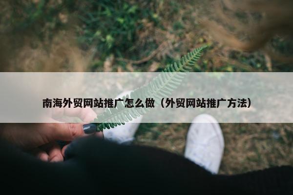 南海外贸网站推广怎么做（外贸网站推广方法）