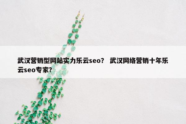 武汉营销型网站实力乐云seo？ 武汉网络营销十年乐云seo专家？