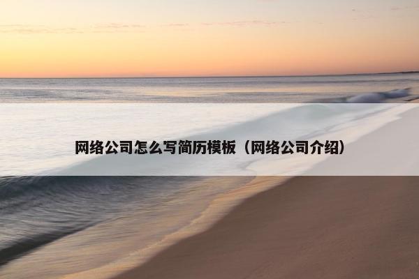 网络公司怎么写简历模板（网络公司介绍）