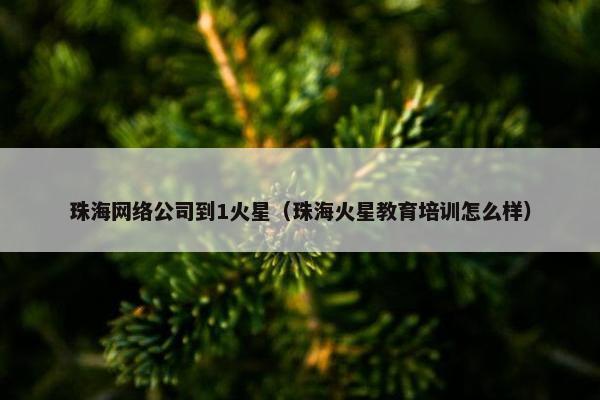 珠海网络公司到1火星（珠海火星教育培训怎么样）