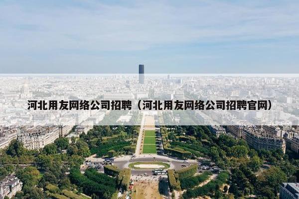 河北用友网络公司招聘（河北用友网络公司招聘官网）