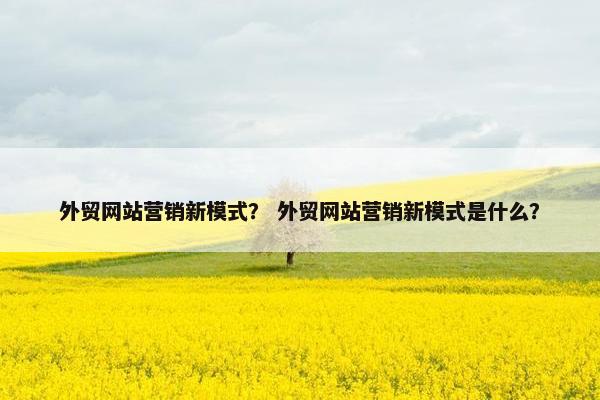 外贸网站营销新模式？ 外贸网站营销新模式是什么？
