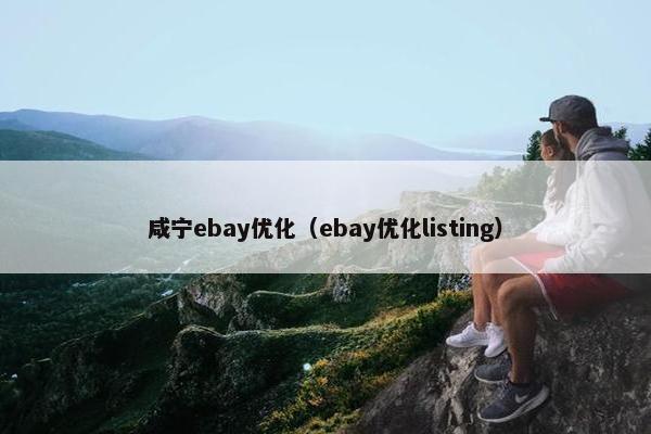 咸宁ebay优化（ebay优化listing）