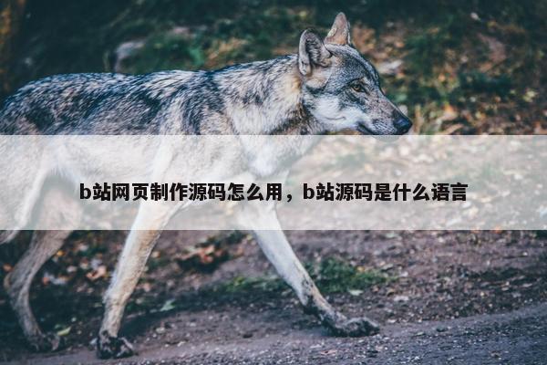 b站网页制作源码怎么用，b站源码是什么语言