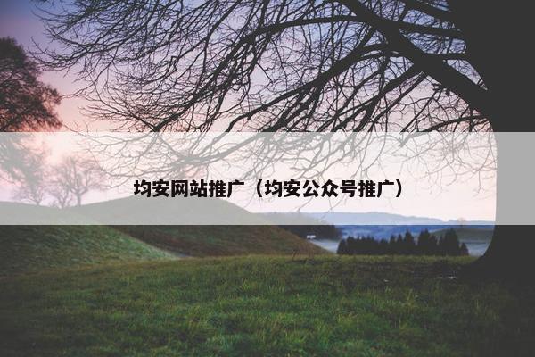 均安网站推广（均安公众号推广）