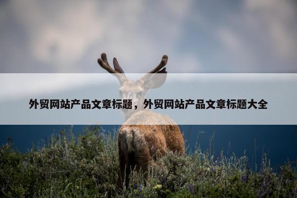 外贸网站产品文章标题，外贸网站产品文章标题大全