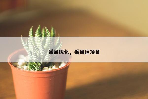 番禺优化，番禺区项目