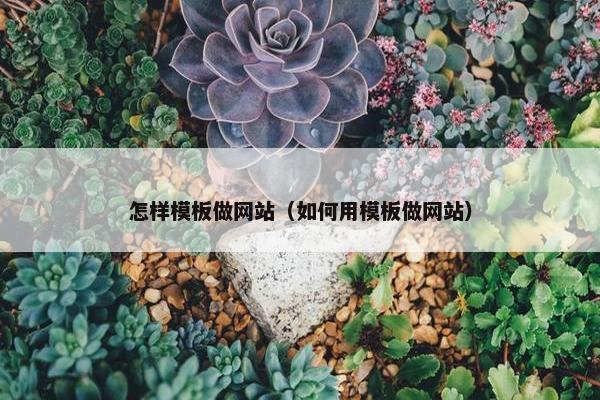 怎样模板做网站（如何用模板做网站）