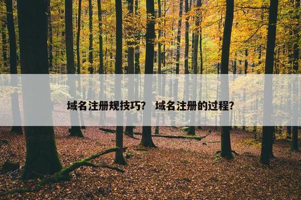 域名注册规技巧？ 域名注册的过程？