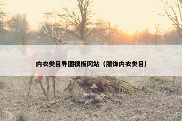 内衣类目导图模板网站（服饰内衣类目）