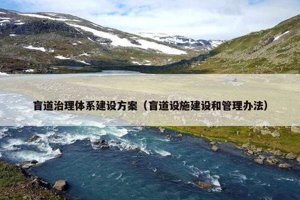 盲道治理体系建设方案（盲道设施建设和管理办法）